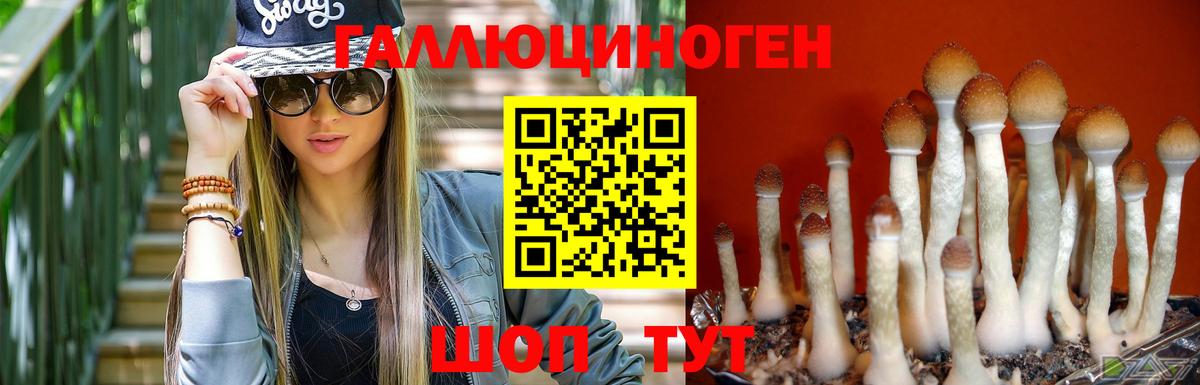 Галлюциногенные грибы прущие грибы  Галлюциногенные грибы MAGIC MUSHROOMS  Уварово  Вход с VPN 